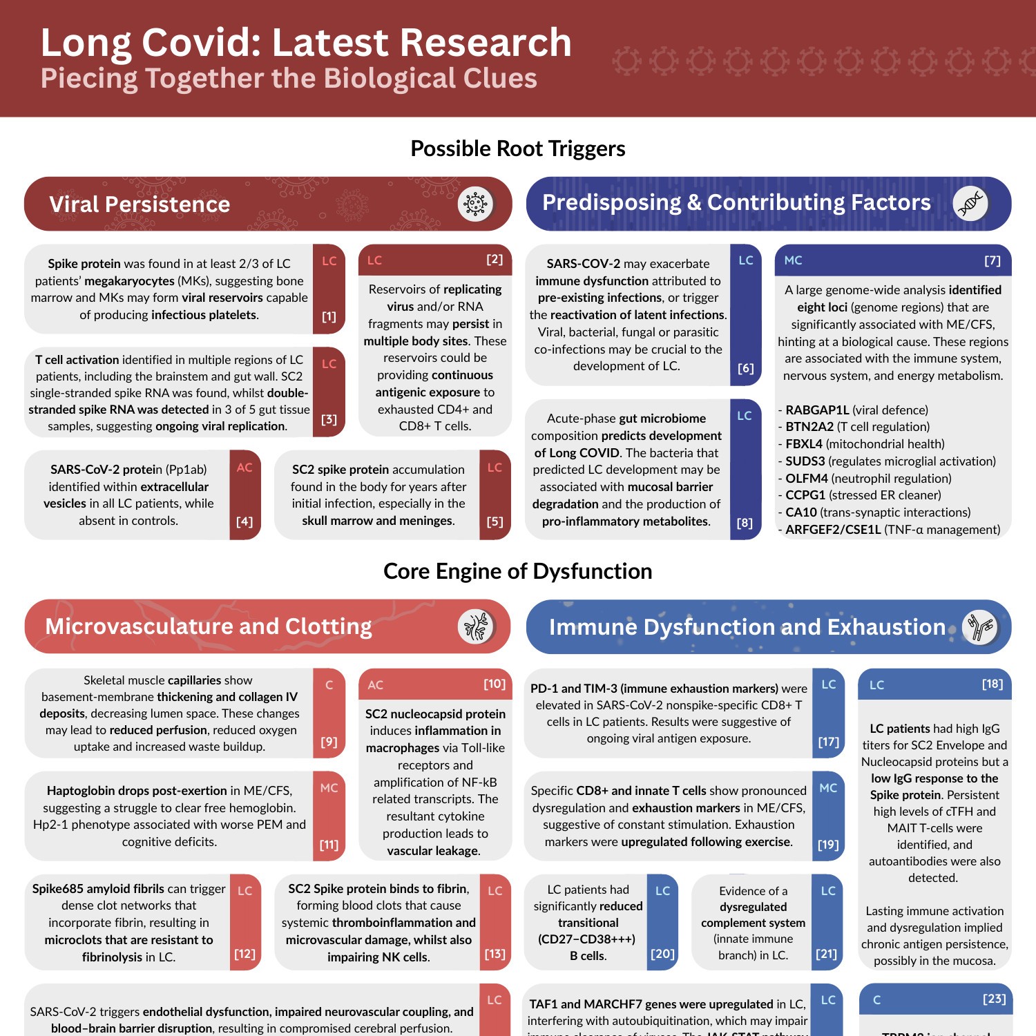 Long Covid Research Infographic V2.pdf | DocDroid